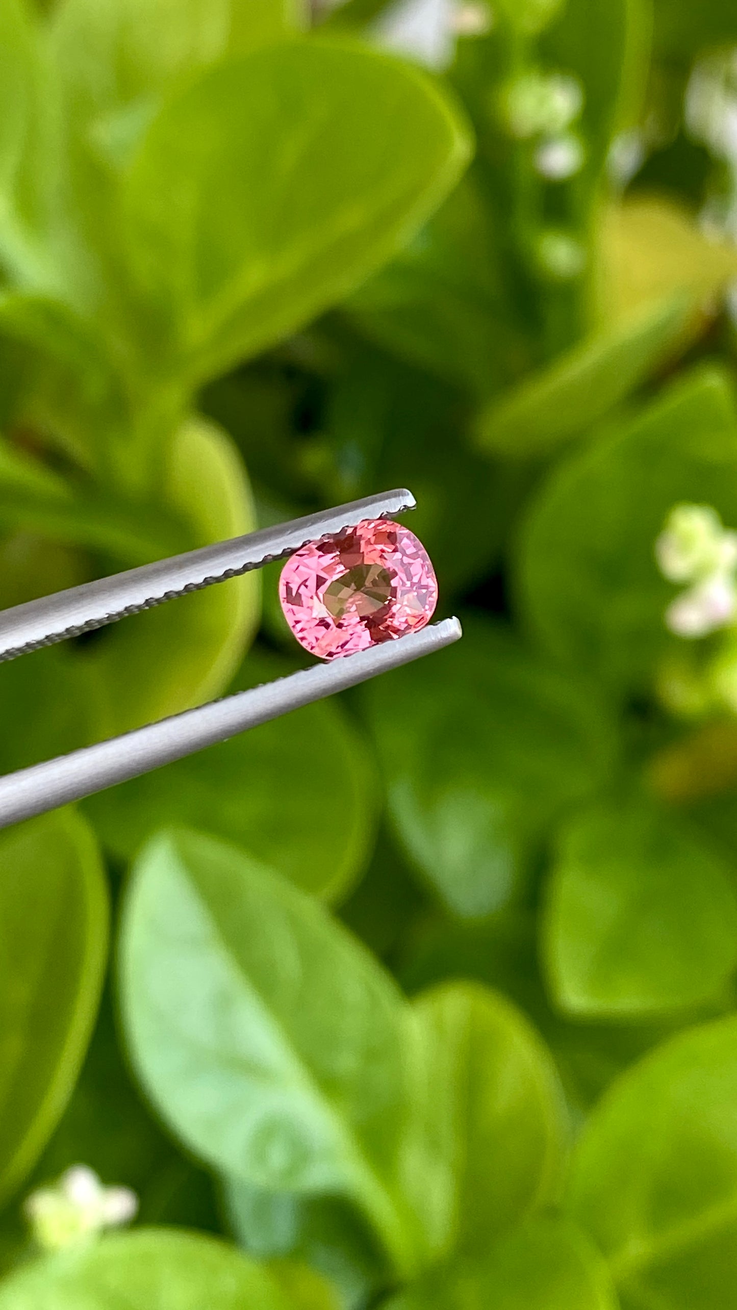 Natural Pink Spinel - 1.04 Crt - Cushion Cut