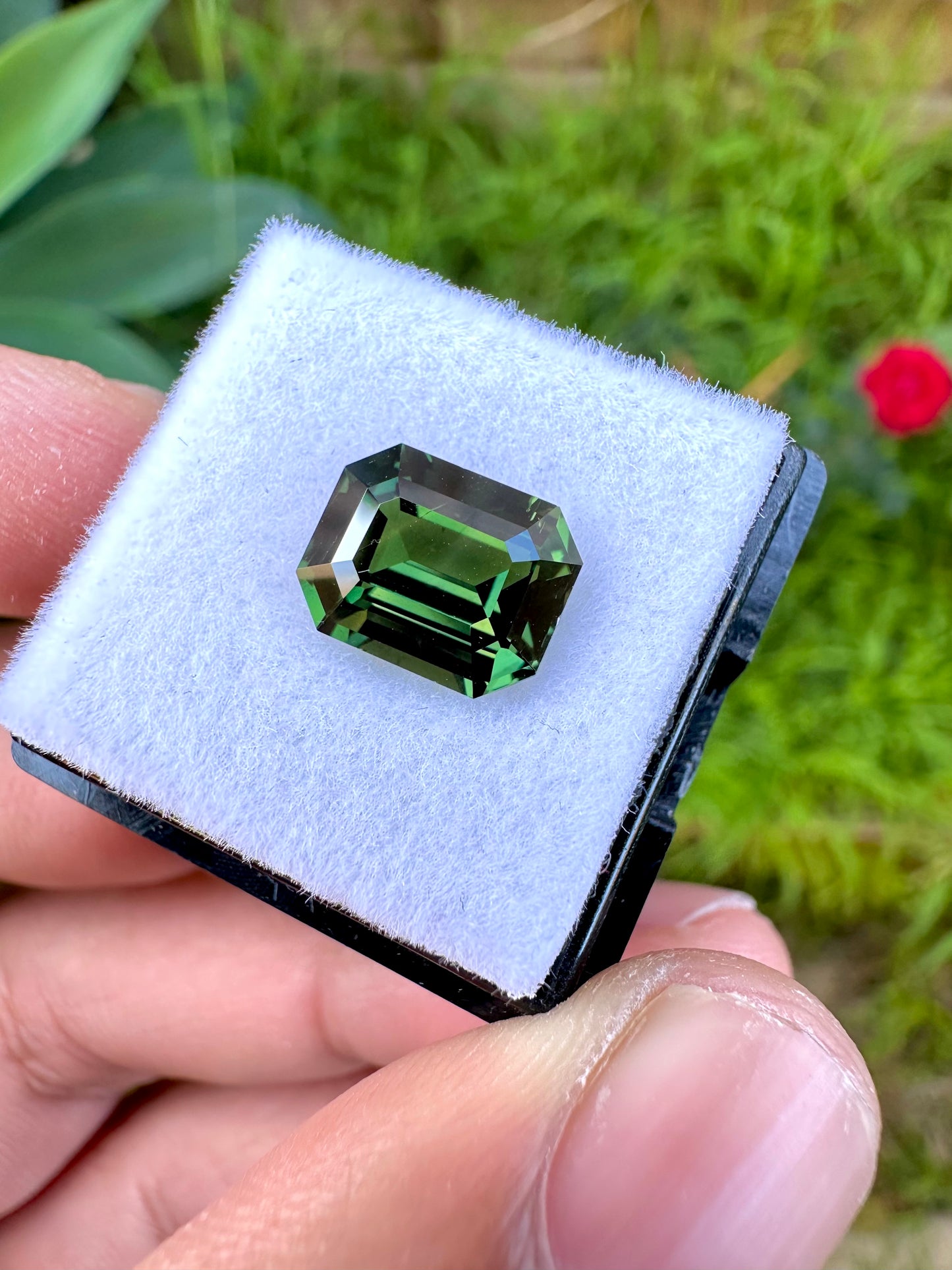 Australian Green Sapphire | 4.03 Crt | Emerald Cut - Unheated