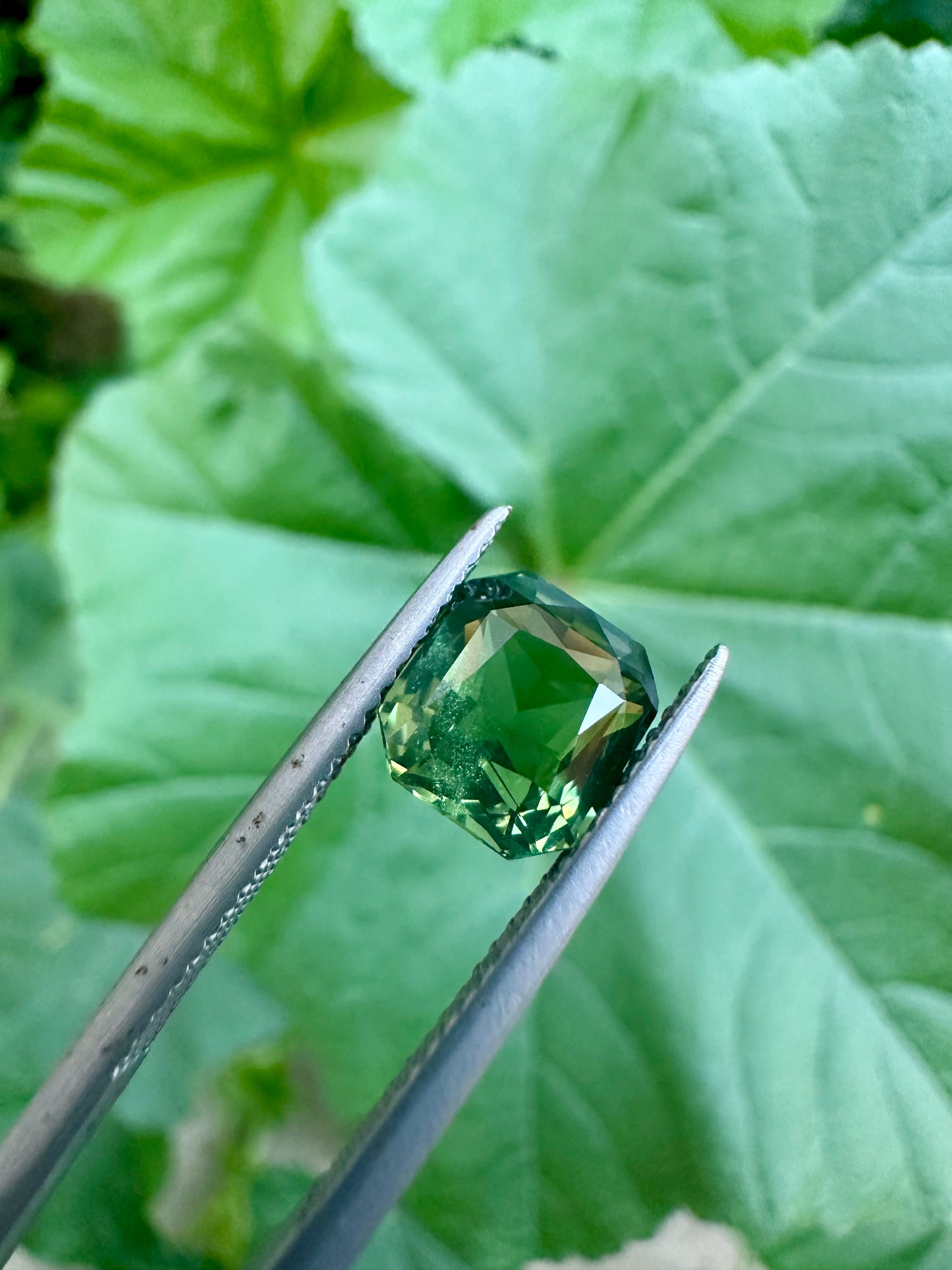 Australian Green Sapphire | 3.68 Crt  |Radiant Cut | Unheated